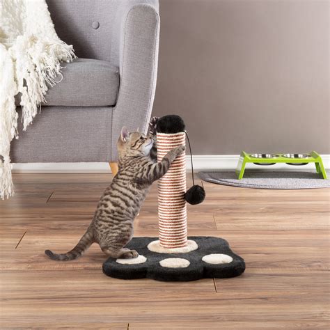 Keep Your Cat Active and Happy with the Spells Melodica Pet Scratcher